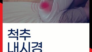 양방향 척추내시경