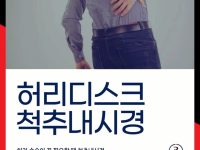 허리디스크 척추내시경