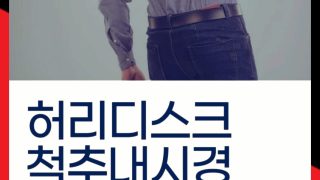허리디스크 척추내시경